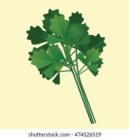 Parsley Vegetable Flat Vector Illustration
