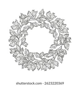 Coroa de salsa, coentro, coentro. Ilustração gráfica vetorial em forma de plano de fundo branco. Comida saudável, especiarias. Esboço à tinta desenhado à mão. Vegetal de folha para cozinha georgiana, cardápio, especiarias de embalagem.