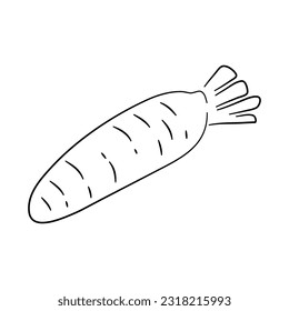 Parsnip doodle icon. Hand drawn black sketch. Vector Illustration.