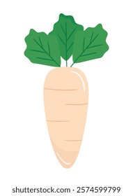 parsnip fresh vegetable icon isolated