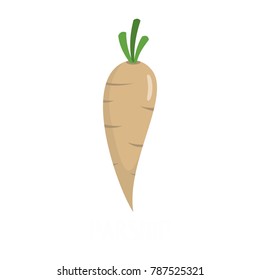 Parsnip icon. Flat illustration of parsnip vector icon isolated on white background
