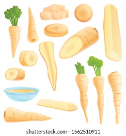 Parsnip icons set. Cartoon set of parsnip vector icons for web design