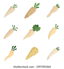 Conjunto de iconos parsnip. Conjunto plano de iconos vectoriales de parsnips aislados en fondo blanco