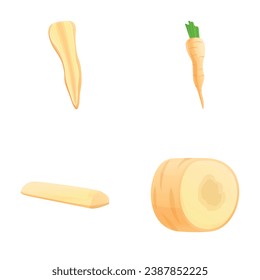 Parsnip root icons set cartoon vector. Fresh organic parsnip. Farm vegetable