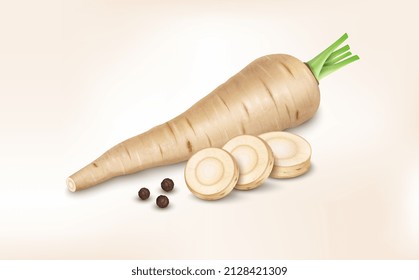 Parsnip root vector illustration with parsnip slices and black pepper