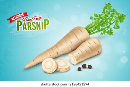 Parsnip root vegetable vector illustration with parsnip slices and black pepper