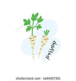 Parsnip root vegetables hand drawn isolated icon illustration
