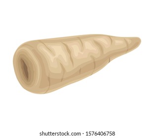 Parsnip Root Without Green Leaves Vector Item