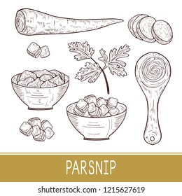 Parsnip. Vegetable. Root, leaf. Bowl, pasta, spoon. Sketch. Set. Monophonic.