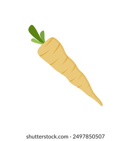 parsnips flat design vector illustration isolated on white background. Parsnip Root With Green Leaves. Fresh vegetables, organic vegetable and healthy, diet and vegetarian