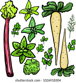 Parsnips and greens on a white background
