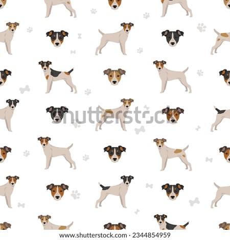 Parson Russel terrier smooth coated seamless pattern. Different poses, coat colors set.  Vector illustration