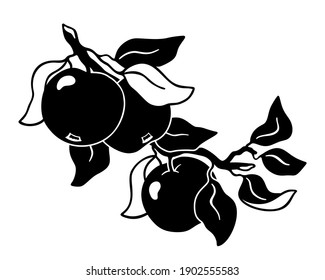 Part of apple tree. Hand drawn silhouette clipart of garden fruits on twig. Black graphic illustration. Botanic print, poster, tattoo. Flat isolated vector, white background