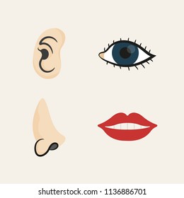 Part of body. Ear, eye, nose, mouth. Vector. Isolated.. 