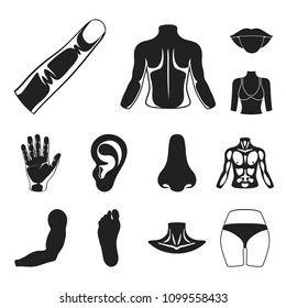 Part of the body, limb black icons in set collection for design. Human anatomy vector symbol stock web illustration.