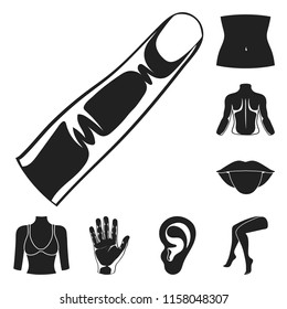 Part of the body, limb black icons in set collection for design. Human anatomy vector symbol stock web illustration.