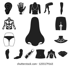 Part of the body, limb black icons in set collection for design. Human anatomy vector symbol stock web illustration.