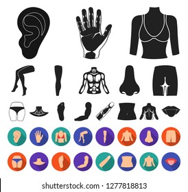 Part Of The Body, Limb Black,flat Icons In Set Collection For Design. Human Anatomy Vector Symbol Stock Web Illustration.