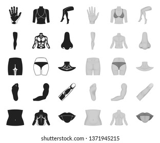 Part of the body, limb black.mono icons in set collection for design. Human anatomy vector symbol stock web illustration.