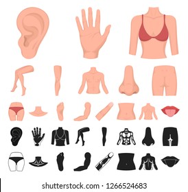 Part of the body, limb cartoon, black icons in set collection for design. Human anatomy vector symbol stock web illustration.