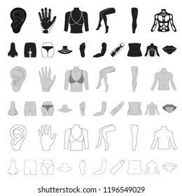 Part of the body, limb cartoon icons in set collection for design. Human anatomy vector symbol stock web illustration.