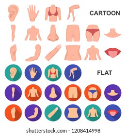 Part of the body, limb cartoon icons in set collection for design. Human anatomy vector symbol stock web illustration.