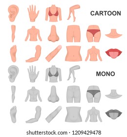 Part of the body, limb cartoon icons in set collection for design. Human anatomy vector symbol stock web illustration.
