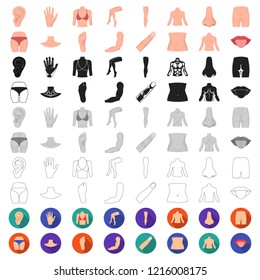 Part of the body, limb cartoon icons in set collection for design. Human anatomy vector symbol stock web illustration.