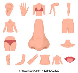 Parte del cuerpo, iconos de caricaturas de miembro en la colección set para el diseño. Ilustración de la web del símbolo vectorial de anatomía humana.