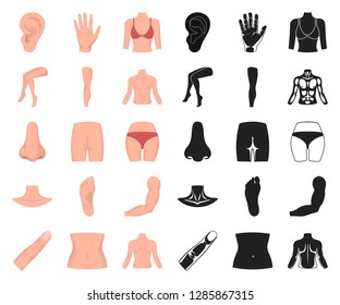 Part of the body, limb cartoon,black icons in set collection for design. Human anatomy vector symbol stock web illustration.