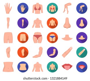 Part of the body, limb cartoon,flat icons in set collection for design. Human anatomy vector symbol stock web illustration.