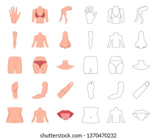 Part of the body, limb cartoon,outline icons in set collection for design. Human anatomy vector symbol stock web illustration.