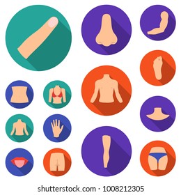 Part of the body, limb flat icons in set collection for design. Human anatomy vector symbol stock web illustration.