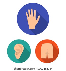 Part of the body, limb flat icons in set collection for design. Human anatomy vector symbol stock web illustration.