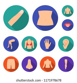 Part of the body, limb flat icons in set collection for design. Human anatomy vector symbol stock web illustration.