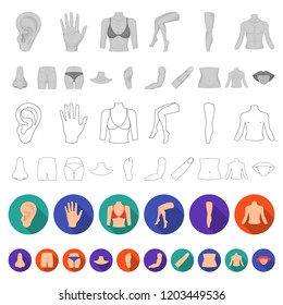 Part of the body, limb flat icons in set collection for design. Human anatomy vector symbol stock web illustration.