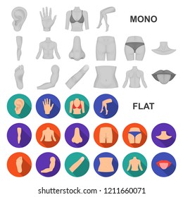 Part of the body, limb flat icons in set collection for design. Human anatomy vector symbol stock web illustration.