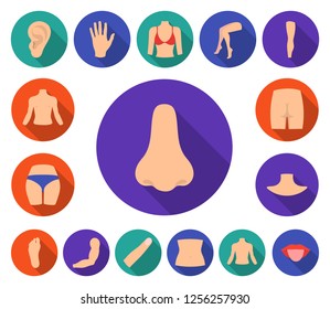 Part of the body, limb flat icons in set collection for design. Human anatomy vector symbol stock web illustration.