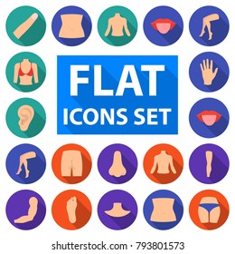 Part of the body, limb flat icons in set collection for design. Human anatomy vector symbol stock web illustration.