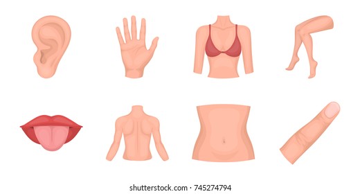 Part of the body, limb icons in set collection for design. Human anatomy vector symbol stock web illustration.