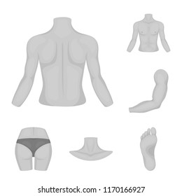 Part of the body, limb monochrome icons in set collection for design. Human anatomy vector symbol stock web illustration.