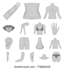 Part of the body, limb monochrome icons in set collection for design. Human anatomy vector symbol stock web illustration.