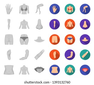 Part of the body, limb mono,flat icons in set collection for design. Human anatomy vector symbol stock web illustration.