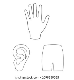 Part of the body, limb outline icons in set collection for design. Human anatomy vector symbol stock web illustration.