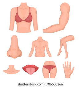Part of body set icons in cartoon style. Big collection of part of body vector symbol stock illustration