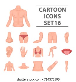 Part of body set icons in cartoon style. Big collection of part of body vector illustration symbol.