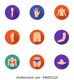 Part of body set icons in flat style. Big collection of part of body vector symbol stock illustration