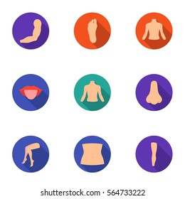 Part of body set icons in flat style. Big collection of part of body vector symbol stock illustration