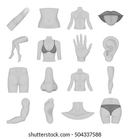 Part of body set icons in monochrome style. Big collection of part of body vector symbol stock illustration
