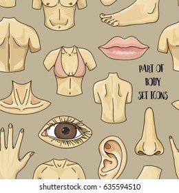 Part of body set icons pattern